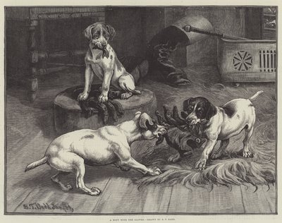 A Bout with the Gloves by S.T. Dadd